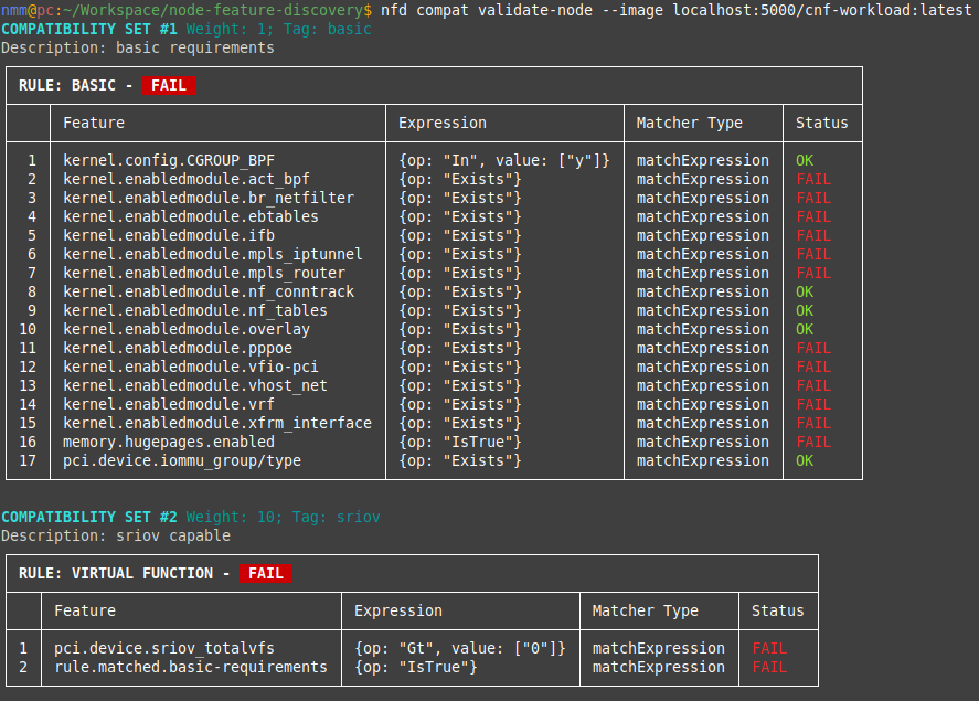 validate-node 命令输出